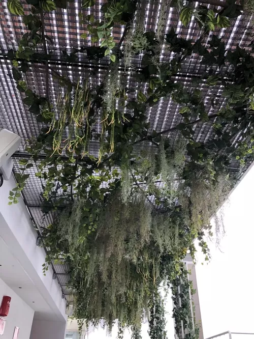Decoración con flores para espacios exteriores en Madrid
