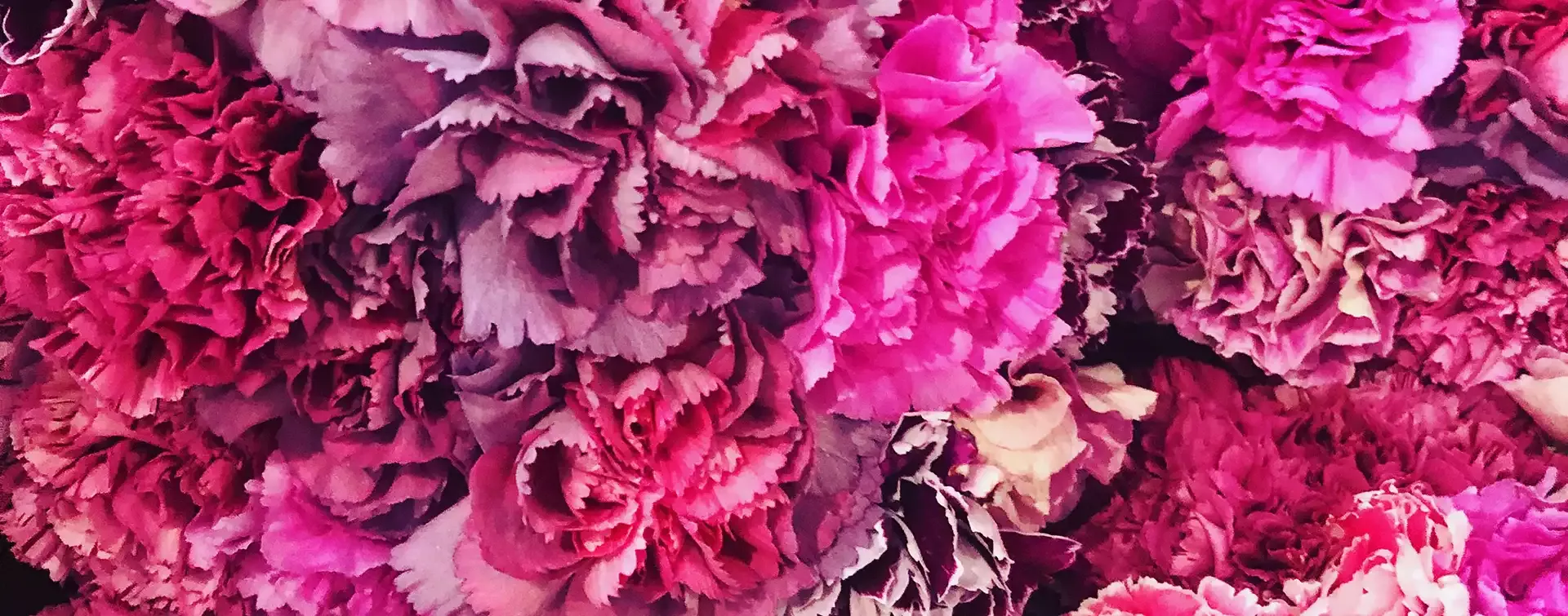 Florista en Madrid