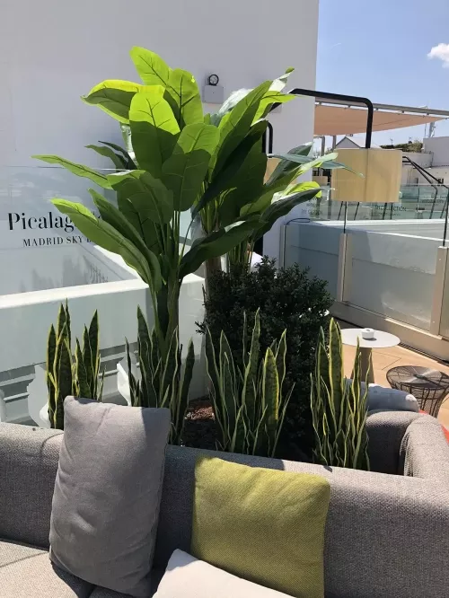 Composiciones florales para exteriores en Madrid